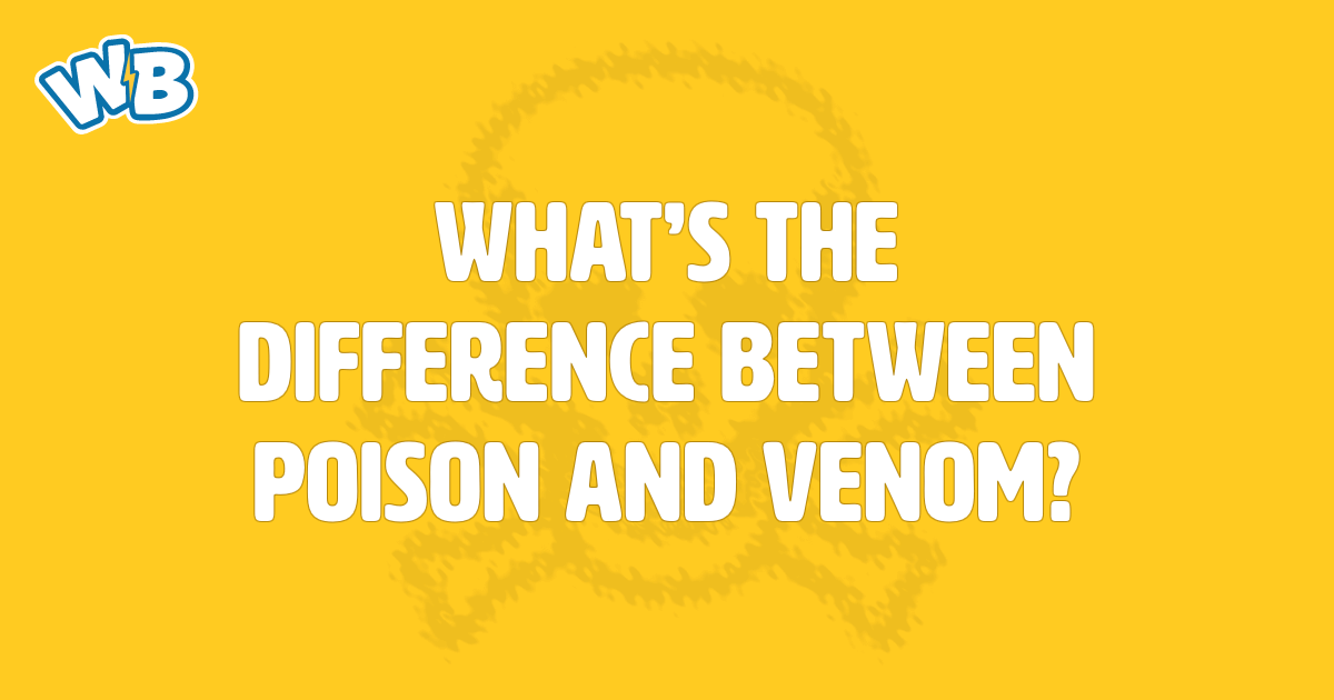 What's The Difference Between Poison And Venom? - Wisdom Biscuits