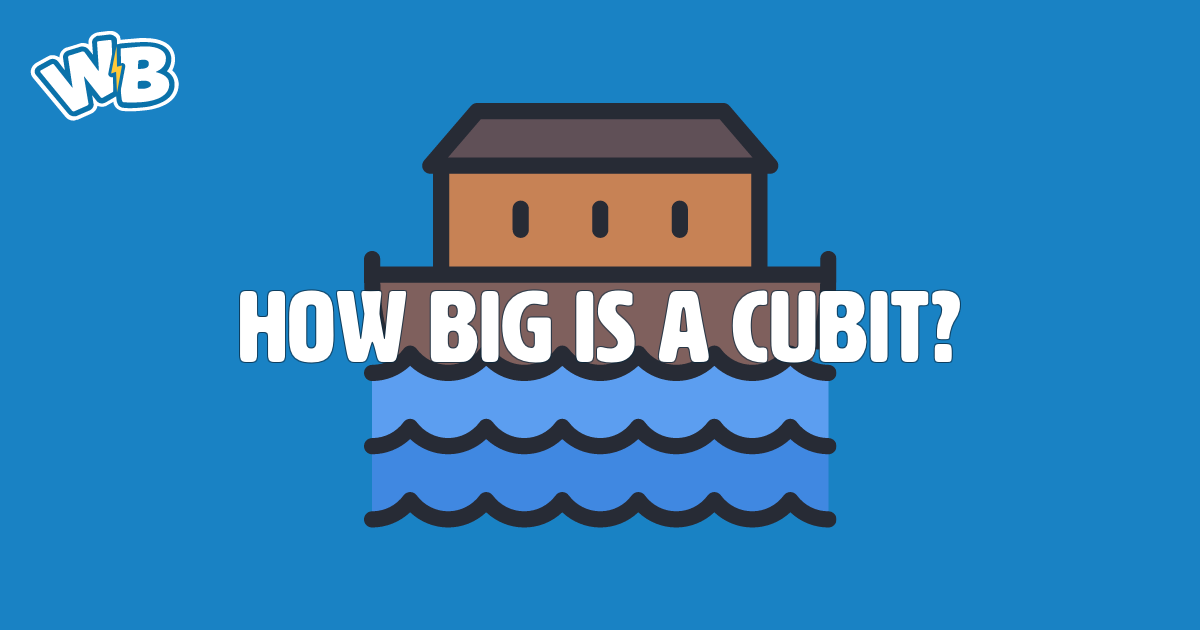 How Big Is A Cubit Wisdom Biscuits how-big-is-a-cubit-wisdom-biscuits
